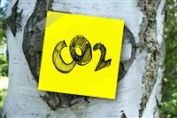 環境部拚碳費制度年底前上路 費率預告期將縮短