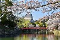 日本姬路城門票擬採雙軌制 非市民參觀較貴