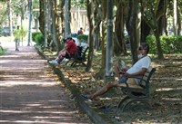 全台炎熱 新北三峽午後高溫飆升至39.4度