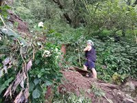 屏東北大武山步道因雨坍塌 暫停開放至10/15