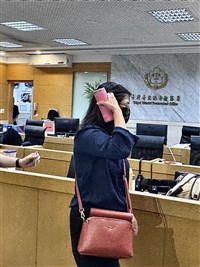 京華城案 民眾黨智庫顧問孫鳳群請回