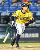 江坤宇3安3打點 兄弟勝雄鷹距年度第1差1步