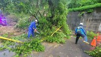 新北瑞芳土石崩塌街道通行受阻  搶修後恢復通車