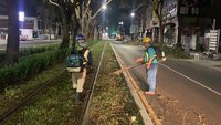 高雄輕軌軌道落葉多車輪打滑  營運期間持續清理