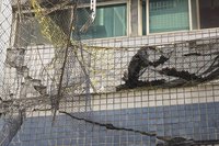 桃園建物震後修繕 經費餘裕研議補助非紅黃單建物