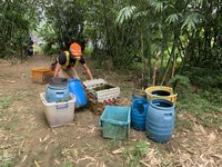 新北增1本土登革熱累計65例 3處管制期延至11/6