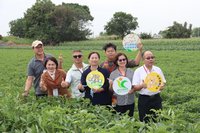 緩解地層下陷 雲林高鐵沿線轉旱作專案節水顯著