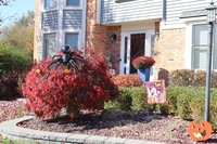 搖擺州密西根郊區選情冷 萬聖節裝飾比競選廣告多