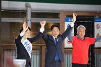 日本眾院大選 東京兩選區候選人平均年齡差逾倍