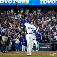 MLB世界大賽首支再見滿貫轟球將拍賣 估上看百萬美元