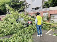 颱風康芮侵台 彰縣路樹被強風吹斷壓倒轎車