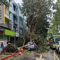 颱風康芮挾雨襲台 羅一鈞：登革熱風險大增