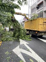 颱風康芮侵襲 南投零星樹木傾倒陸續清除