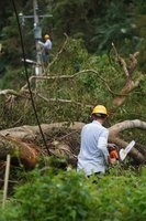 颱風康芮釀97萬戶停電 台電：已復電逾99%