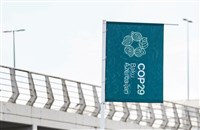 COP29主辦國:氣候峰會期間端綠色投資指南