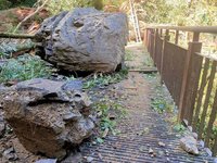 拉拉山森林遊樂區災後復建 11/11局部開放