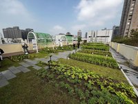 高市四維國小屋頂綠化啟用 淨零節能智慧澆灌驅動