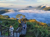 秋冬季節阿里山隙頂雲海大景 國內外遊客：超漂亮