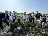 改善土壤地力 落花生更健康產量提升