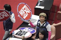 刪吳斯懷條款撤案 陳玉珍擬成立青鳥訊號調查委員會