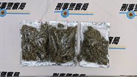 玩具夾藏大麻走私來台 移工代領運毒集團包裹遭逮