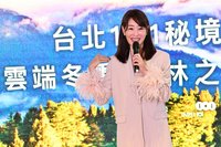 2025年台北101跨年煙火 賈永婕發想創意預告將有驚喜