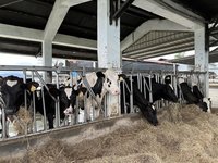 支持班班喝鮮乳政策 徐榛蔚盼考量城鄉差距給補貼