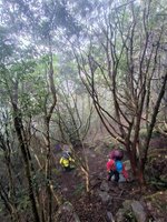 8人攀登南一段 女山友高山症遭獨留山區待援