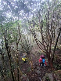 女高山症遭獨留南一段待援 搜救隊晚間尋獲人平安