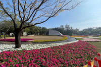 台南兩公園打造花藝園區  增加走春好去處