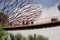 新加坡去年均溫28.4度 續寫有紀錄以來最熱一年