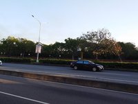 測速照相遭疑無助改善交通 中市府：降低事故嚴重性