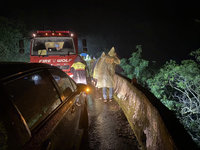 高雄男陳屍屏東  警南投逮1人依殺人罪嫌偵辦