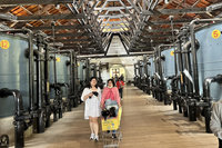 台南文化景點過年吸客29萬 寵物友善措施獲好評