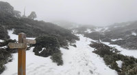 雪攀耗費體能加倍 雪霸志工：最怕山友一意孤行