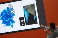 三隻小豬入畫  「托比王」打造不一樣的動物世界