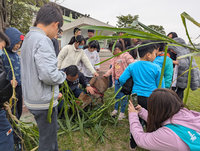 嘉義民雄打貓科技食農營 百名學童餵梅花鹿體驗