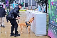 桃園警犬隊台灣燈會出任務  帥氣身影成人氣明星