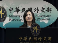 愛沙尼亞惠台可短期駕車 外交部：研擬互惠待遇