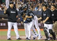 WBCQ台灣2連勝陳文杰卻傷退 曾總坦言時間點尷尬