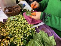 檳榔專法預告期滿 逾4500則意見建議暫緩居多