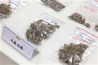 學生餐廳出現大麻交易 東吳大學：加強承包商審核