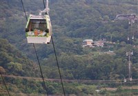 貓空纜車系統異常暫停營運　啟動公車接駁