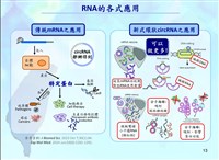 國衛院首創新式環狀RNA合成法 登國際頂尖學術期刊