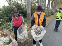 彰化埤頭木棉花尚未盛開 部分花季活動延後