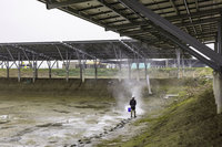 漁電共生案場遭撤照 台泥綠能：農業部同意暫緩處分