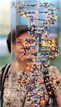 思覺失調、躁鬱症遺傳對認知影響 國衛院研究解密