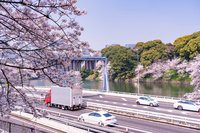 遠通電收推uTagGo旅日必備優惠  租車、購物回饋