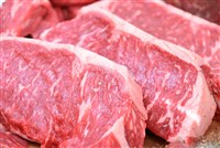 日本全齡牛肉 食藥署公告開放進口