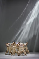 演藝團隊年度獎助公布  總金額1.8億有但書